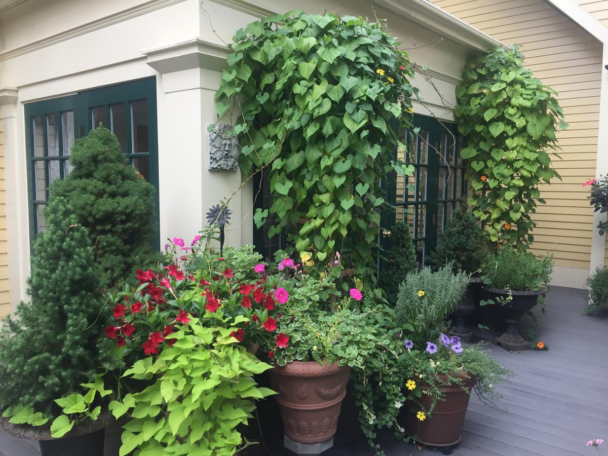Mary Prentiss Inn Кембридж Екстер'єр фото